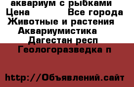 аквариум с рыбками › Цена ­ 1 000 - Все города Животные и растения » Аквариумистика   . Дагестан респ.,Геологоразведка п.